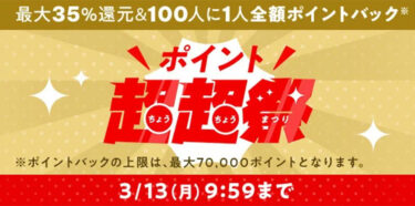 au PAY マーケットで100人に1人購入金額全額相当のポイントが戻ってくる「ポイント超超祭」を毎月開催